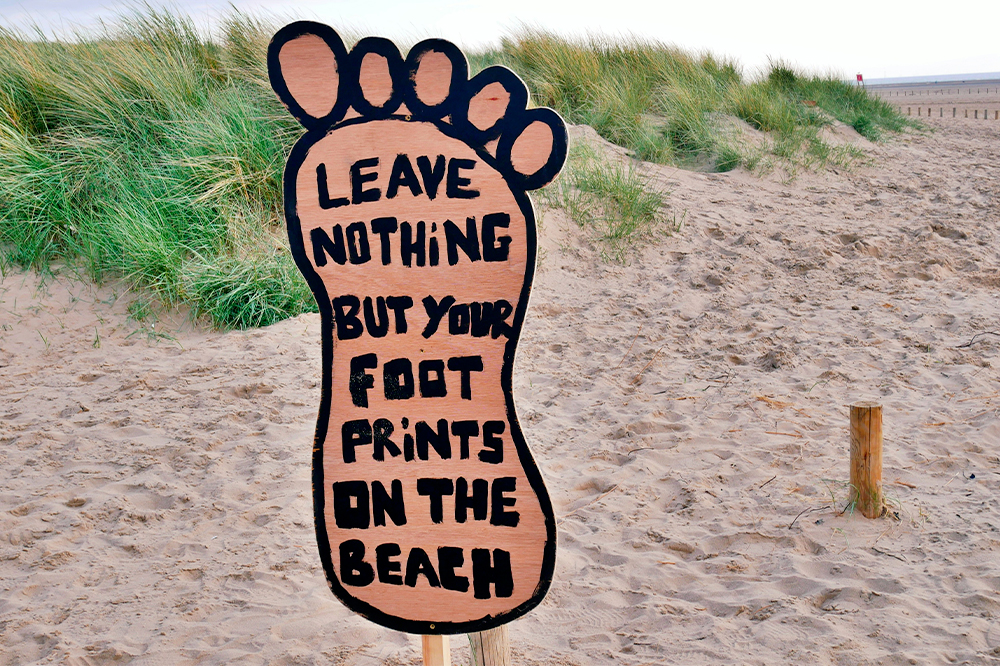 Eco-Tourism: Traveling Responsibly and Sustainably